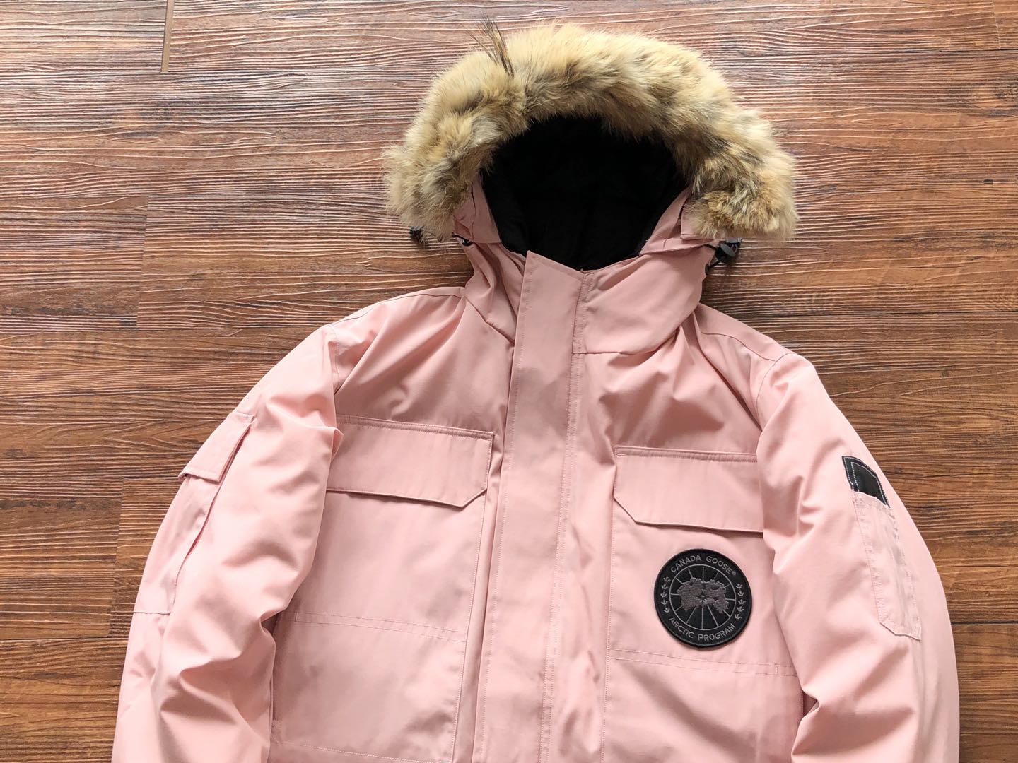 Pink Canada Goose