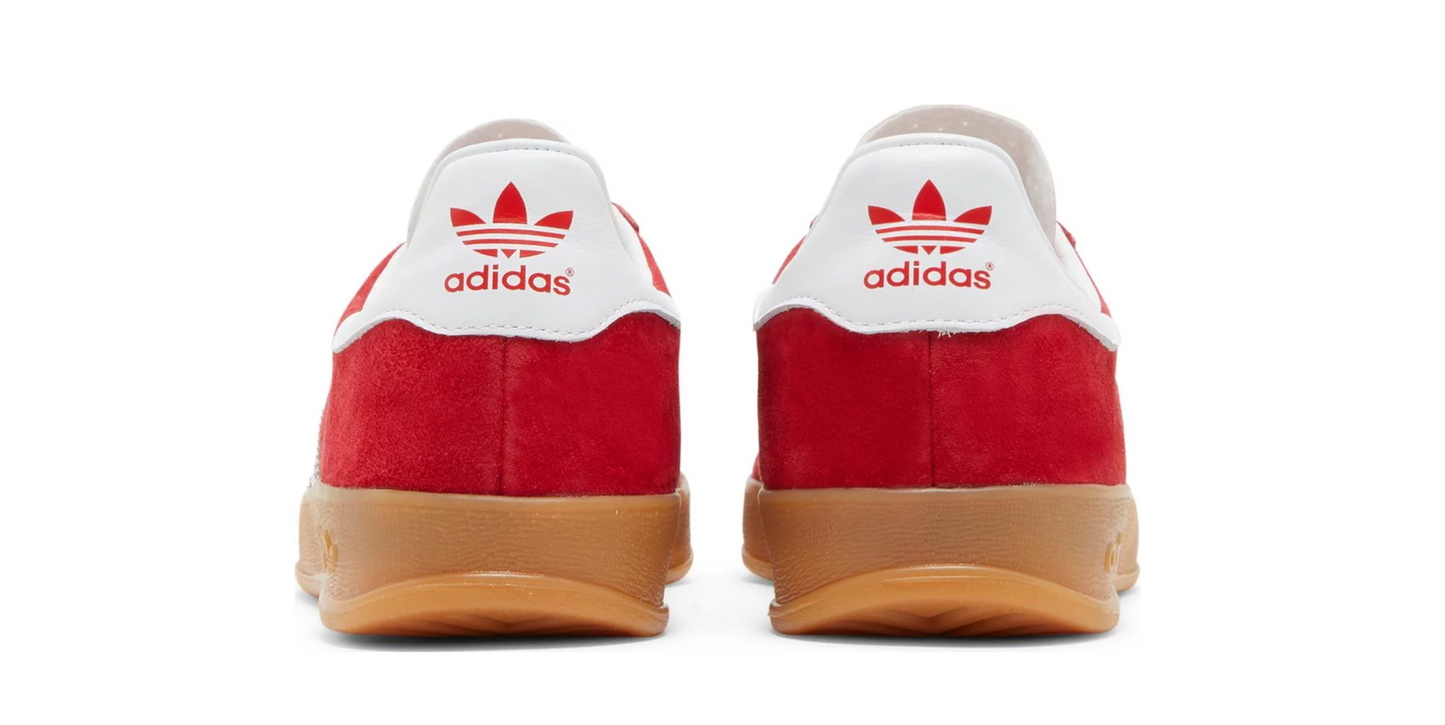 Gazelle Indoor 'Scarlet Gum'