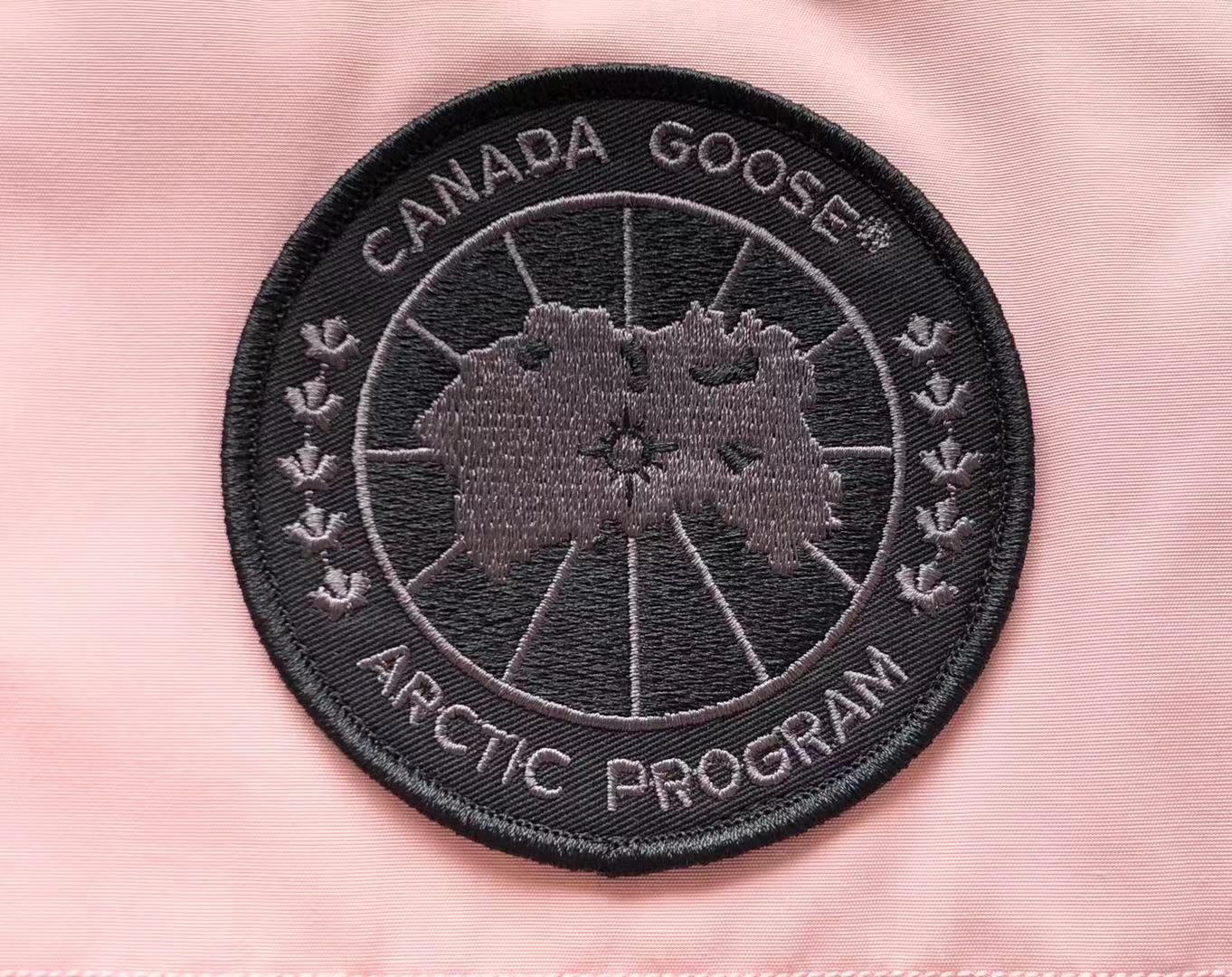 Pink Canada Goose